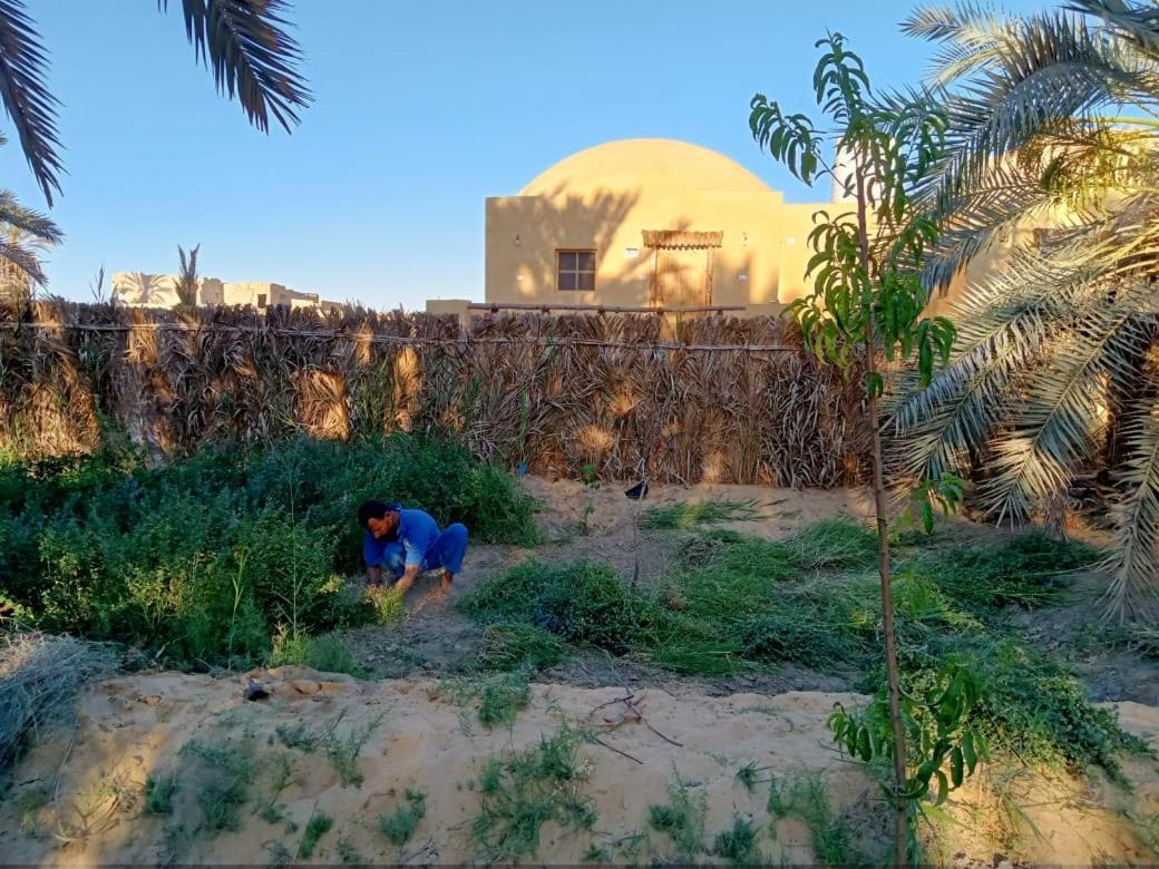 Wafla Villa Siwa Oasis ภายนอก รูปภาพ