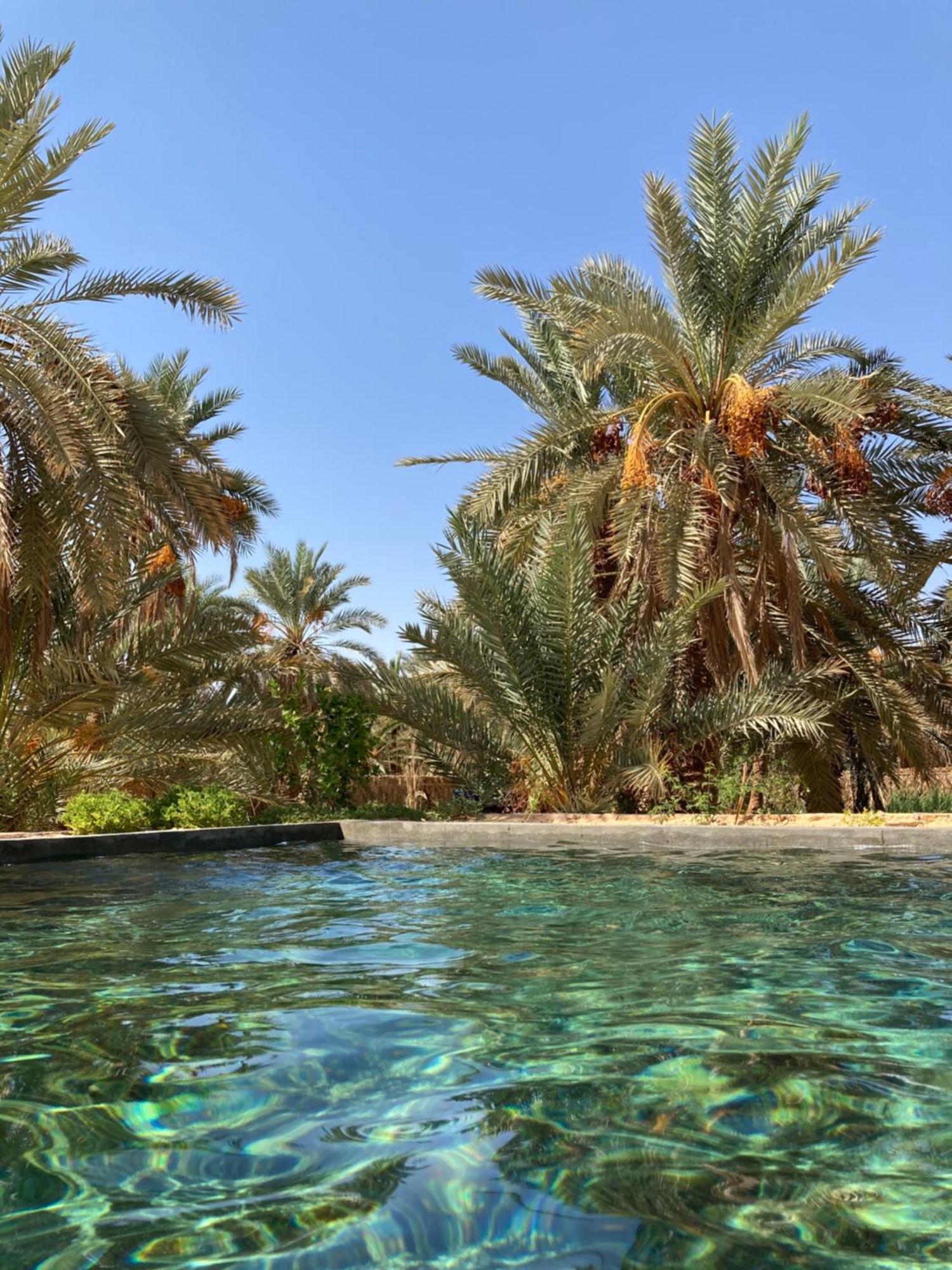 Wafla Villa Siwa Oasis ภายนอก รูปภาพ