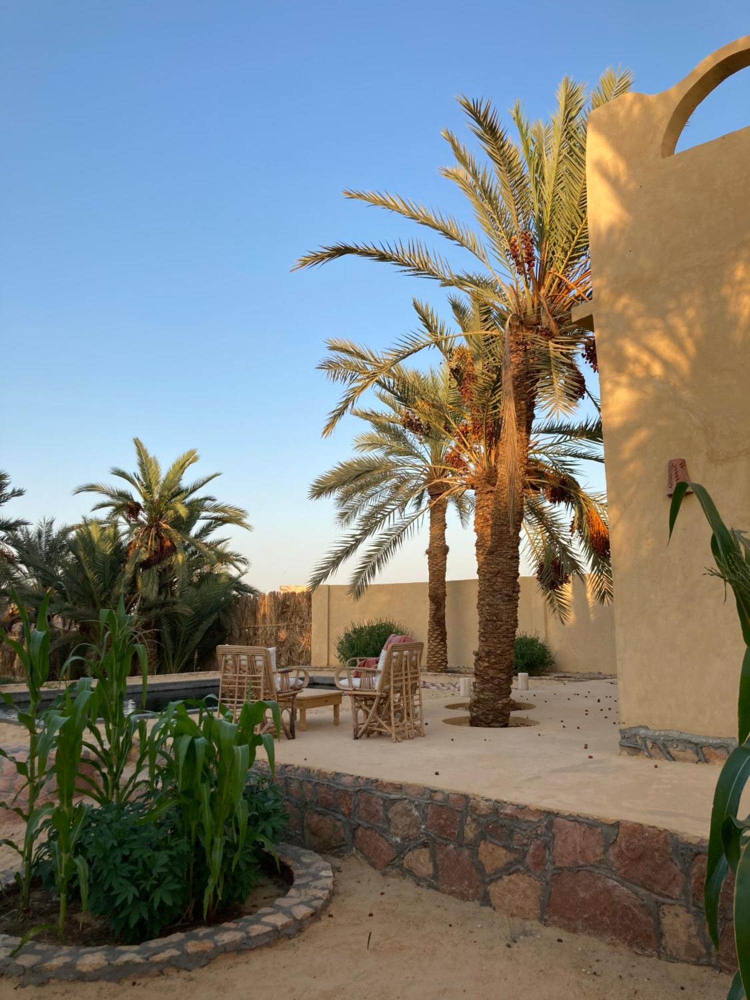 Wafla Villa Siwa Oasis ภายนอก รูปภาพ