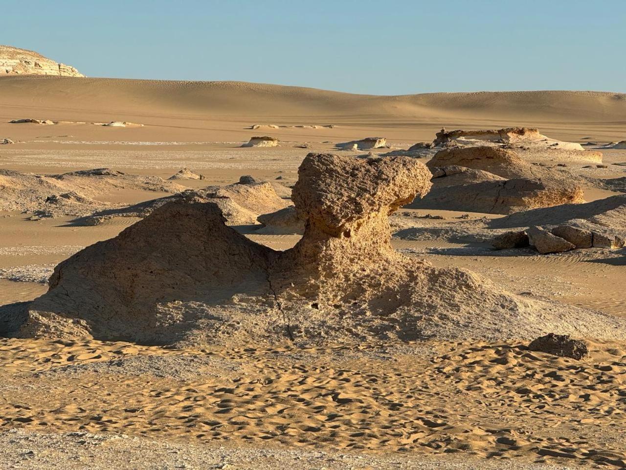 Wafla Villa Siwa Oasis ภายนอก รูปภาพ